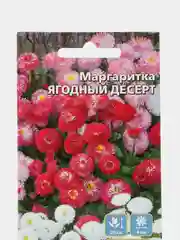 Цветы Маргаритка Ягодный десерт (УД), семена