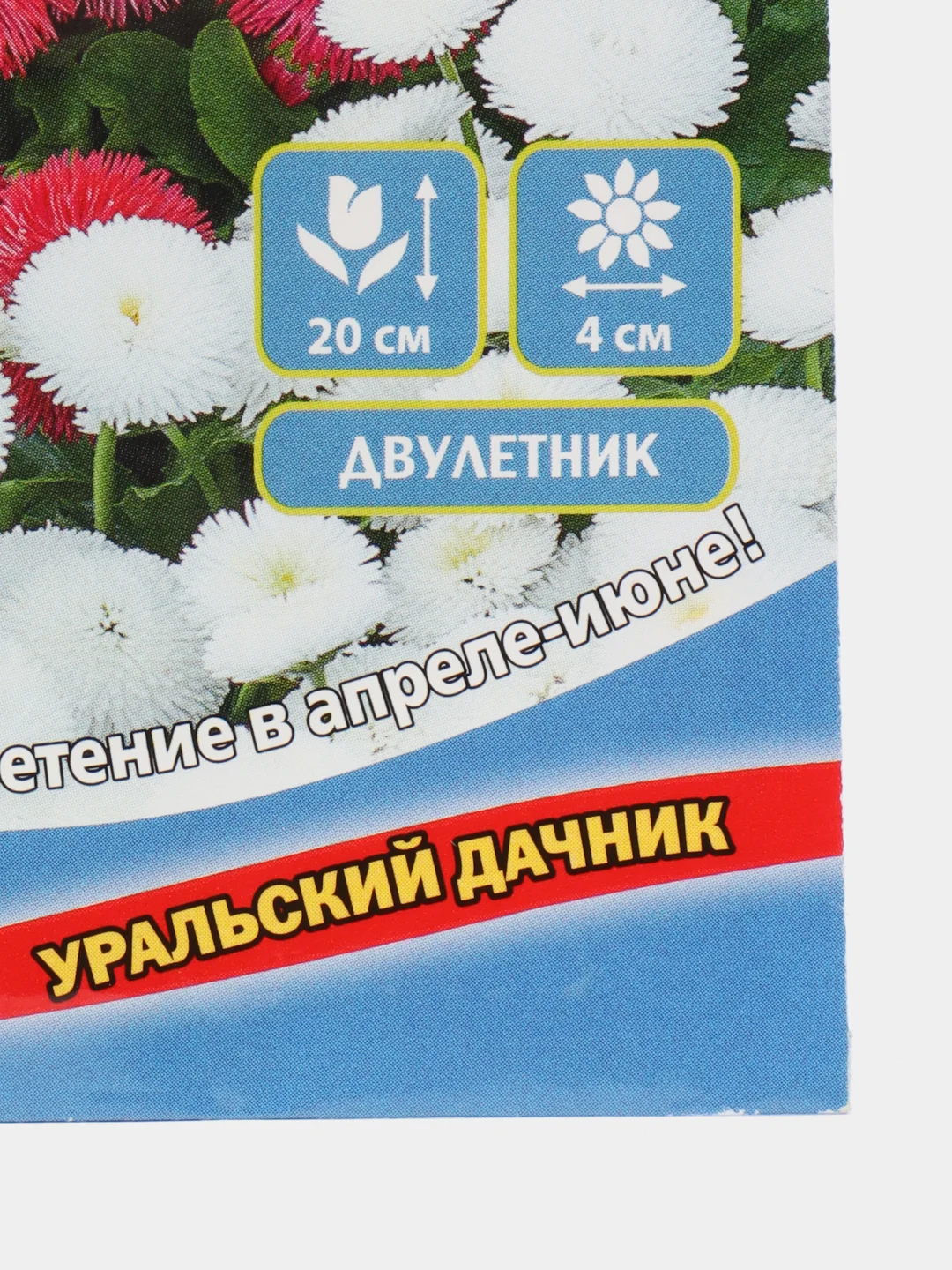 Цветы Маргаритка Ягодный десерт (УД), семена