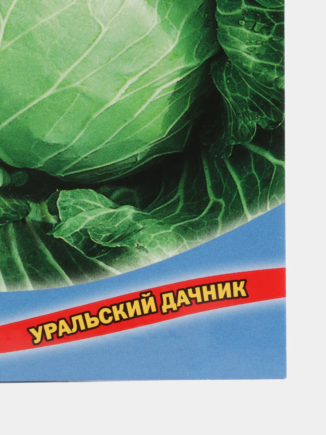 Капуста белокочанная Каменная голова (УД), семена