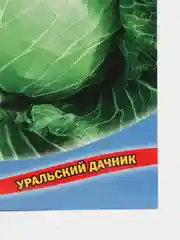 Капуста белокочанная Каменная голова (УД), семена