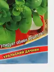 Кресс-салат водяной Подмосковный (УД), семена