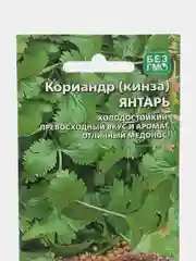 Кориандр кинза Янтарь (УД), семена