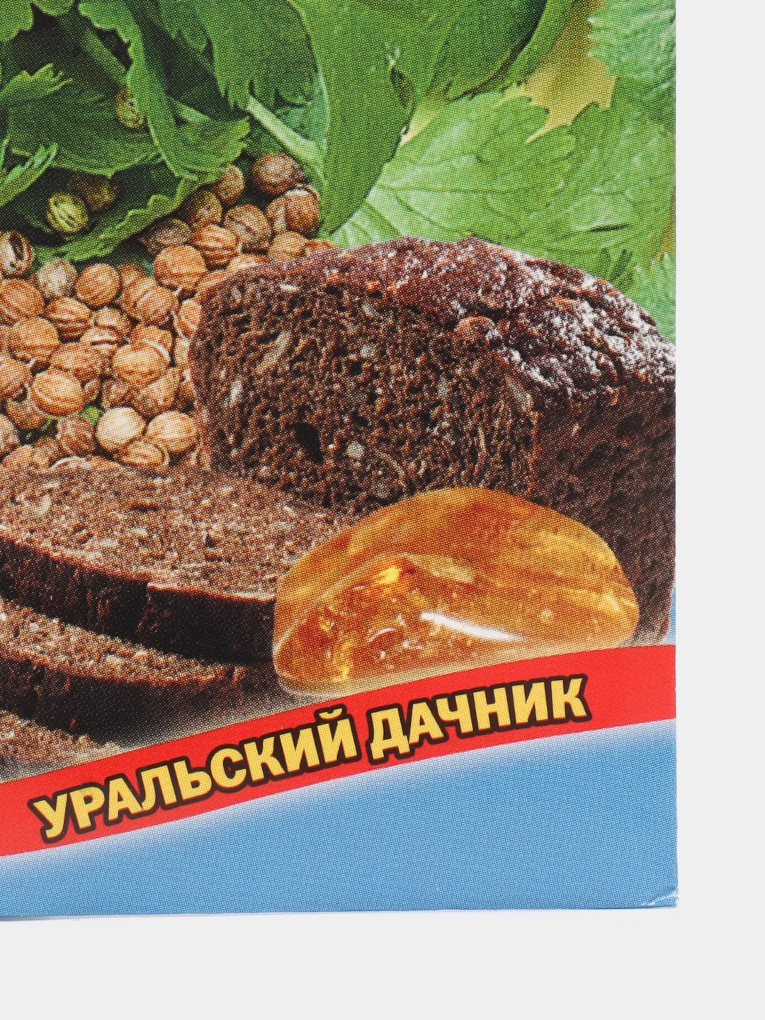 Кориандр кинза Янтарь (УД), семена