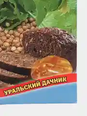 Кориандр кинза Янтарь (УД), семена