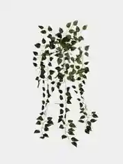 Искусственные цветы. Зелень, висячая на подбукетнике