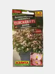 Бегония Сенсация розовая  (семена,цветы)