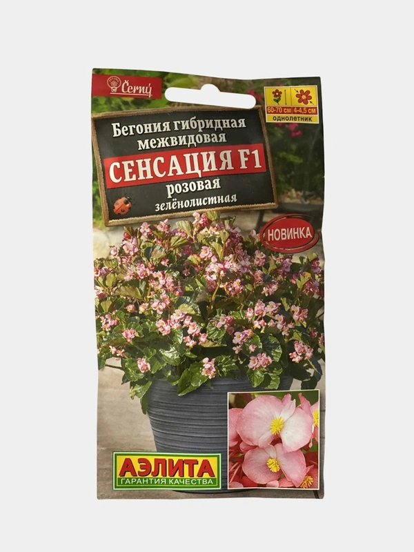 Бегония Сенсация розовая  (семена,цветы)
