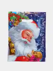 Разноцветный пакет новогодний 30*40, 3 шт