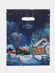 Разноцветный пакет новогодний 30*40, 3 шт
