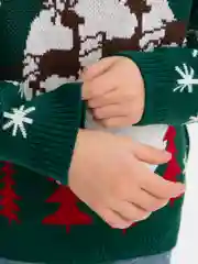 Зеленый новогодний свитер с оленями, детский, 5-10 лет