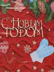 Алый пакет новогодний подарочный, 20*30 см, полиэтиленовый, с вырубной ручкой, 30 мкм