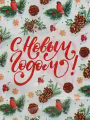 Белый пакет новогодний подарочный, 20*30 см, полиэтиленовый, с вырубной ручкой, 30 мкм