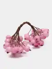 Розовый ягоды на проволоке