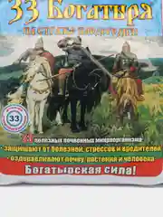 33 Богатыря, микробиолог, почвооздоравл.препарат 1 л, концентрат, Башинком