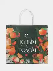 Зеленый пакет подарочный, новогодний, крафтовый, "Тепла и уюта", 25 х 22 х 12 см