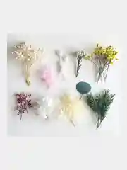 Молочный сухоцветы в контейнере