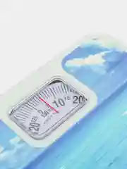 Морской весы напольные механические 25*25*5 см