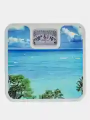 Морской весы напольные механические 25*25*5 см