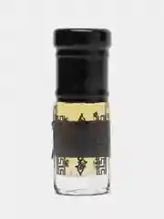 Духи по мотивам The Scent For Him Magnetic, масляные, 3 мл