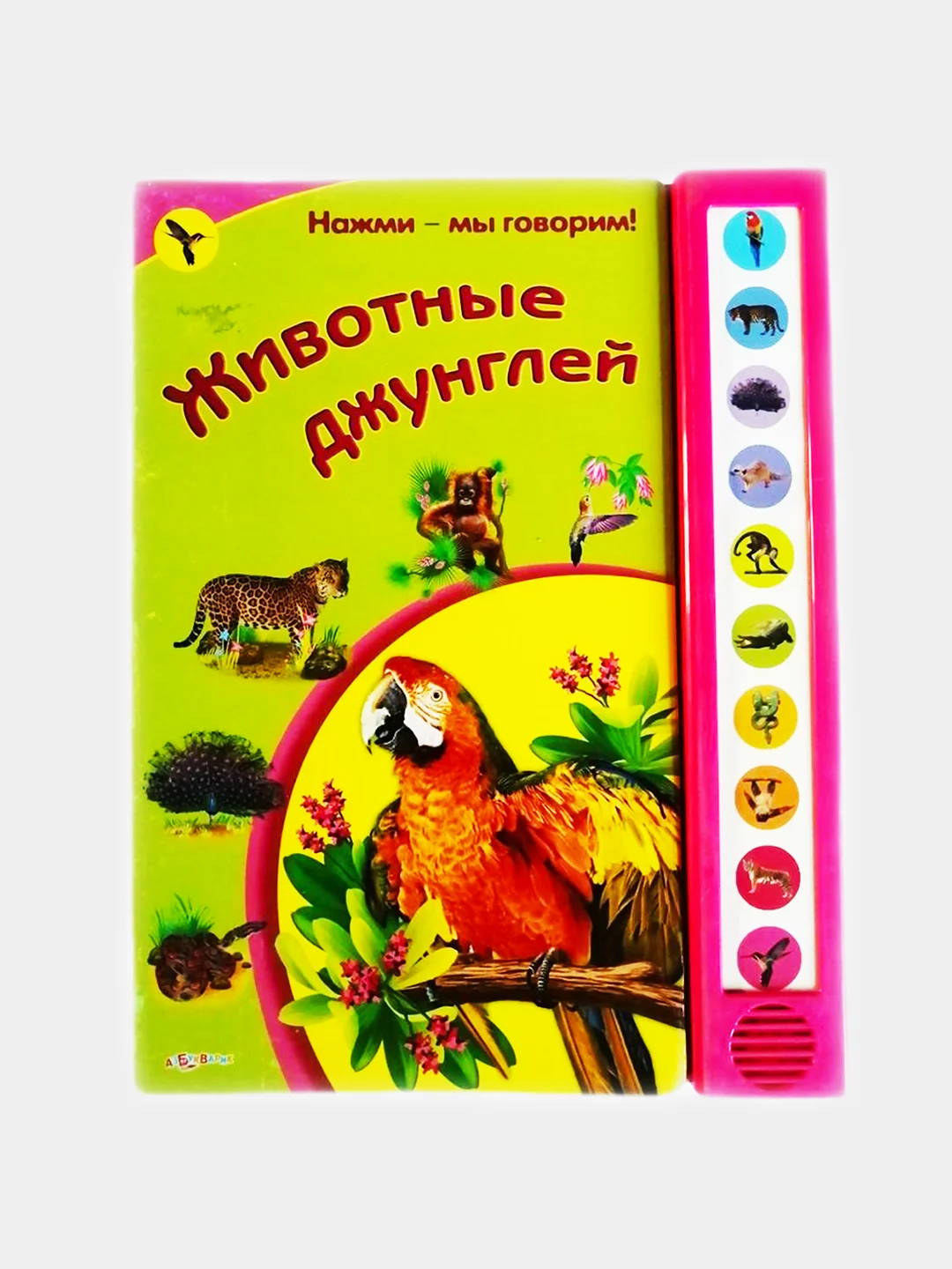Зеленый электронные книги на батарейках для самых маленьких