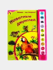 Зеленый электронные книги на батарейках для самых маленьких