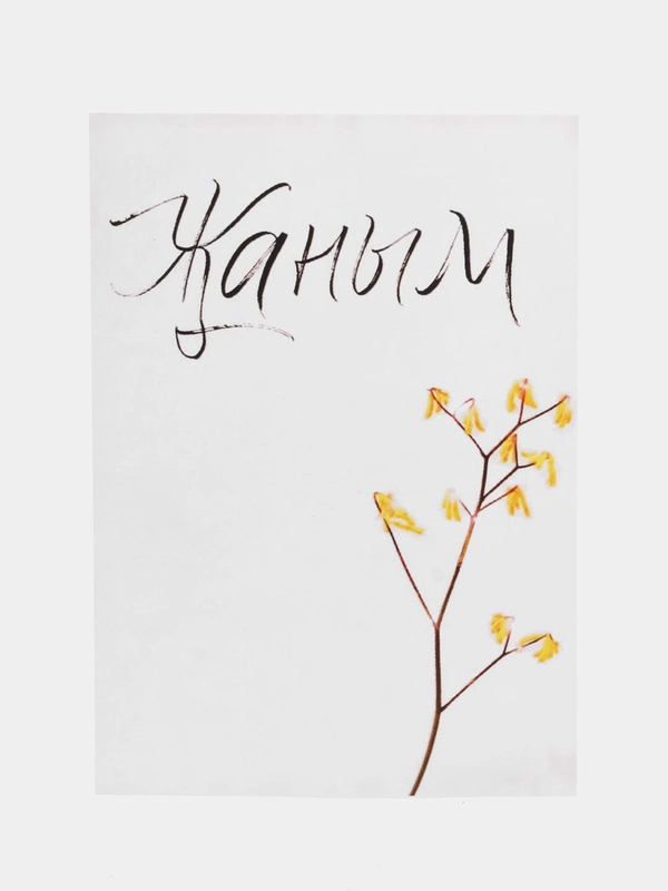Открытка "Жаным"