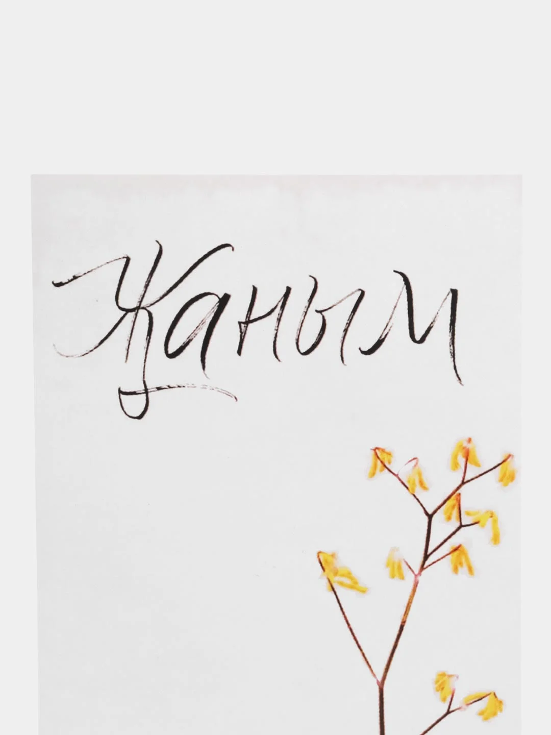 Открытка "Жаным"