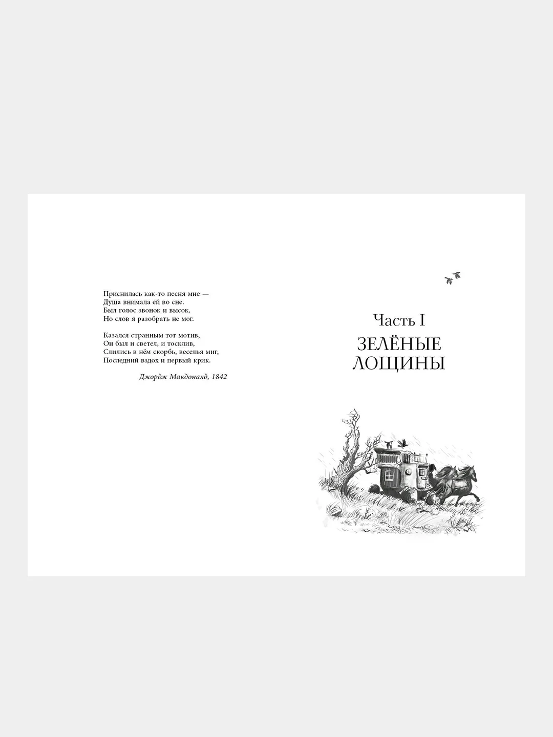Король-волк (#4), Эндрю Питерсон