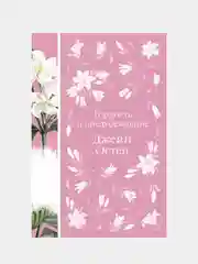 Гордость и предубеждение, Джейн Остен