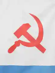 Аметистовый флаг СССР,ВДВ,Имперская Россия,морская пехота,артиллерия,росгвардия,разведка.погранвойска