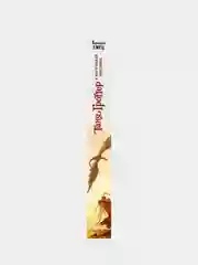 Таня Гроттер и магический контрабас (#1), Дмитрий Емец