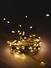 Гирлянда ёлочная, 10 м