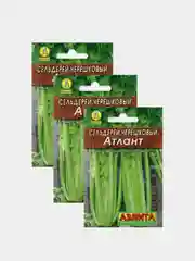 Семена Сельдерей черешковый "Атлант", урожайный среднеспелый сорт