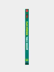 Дневник Стива. Книга 8. Холодные игры