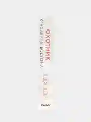 Красавицы Бостона. Охотник (#1), Л. Дж. Шэн