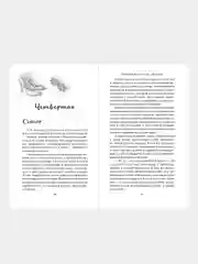 Красавицы Бостона. Охотник (#1), Л. Дж. Шэн