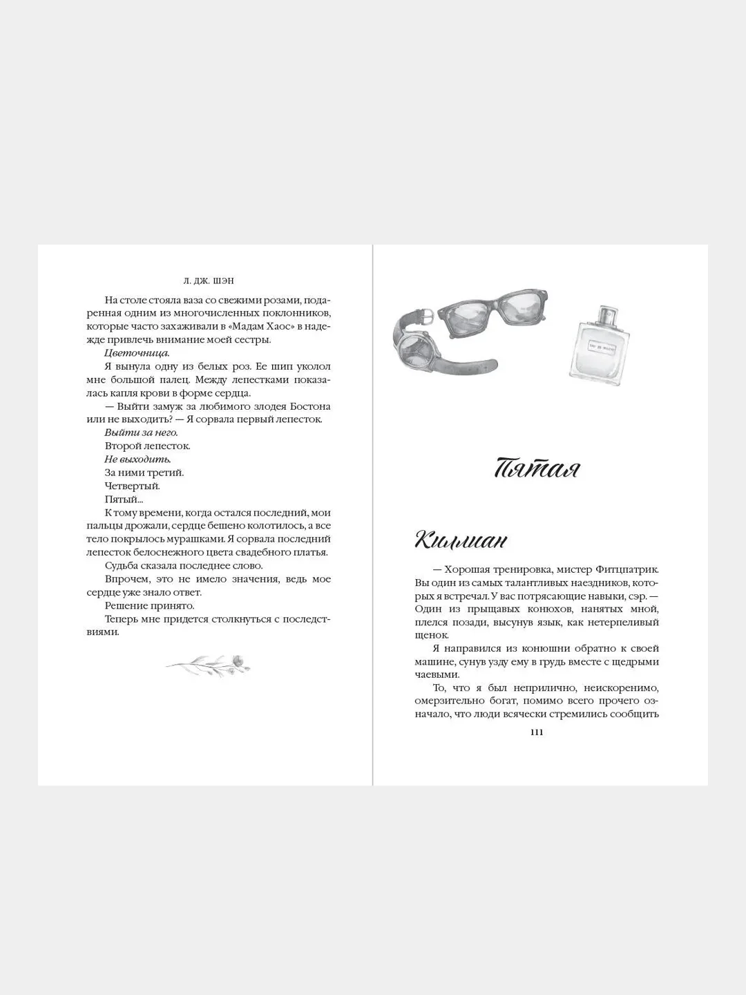 Красавицы Бостона. Злодей (#2), Л. Дж. Шэн