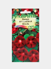 Семена Ипомея пурпурная  Вишневая шаль