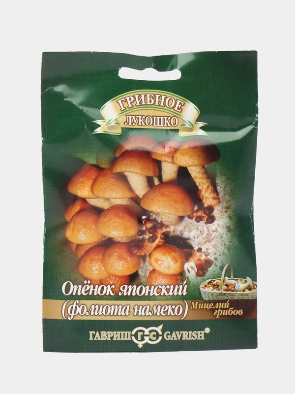Опенок японский Фолиото намеко на древесной палочке, 12 шт