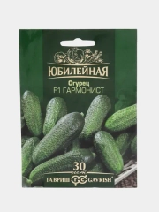 Семена огурцов "Гармонист", скороспелый корнишон