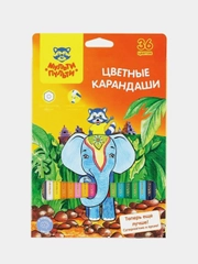 Цветные карандаши Мульти-Пульти "Енот в Индии", 36 цветов, мягкие