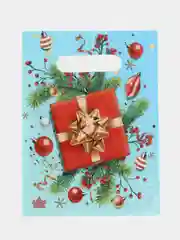 Лимонный пакет новогодний,5 шт ,20*30
