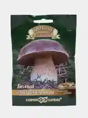 Мицелий Белый гриб Сосновый на зерновом субстрате, 15 мл