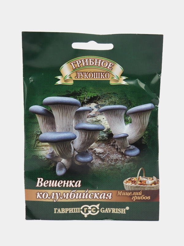 Мицелий Вешенка Колумбийская на древесной палочке, 12 шт