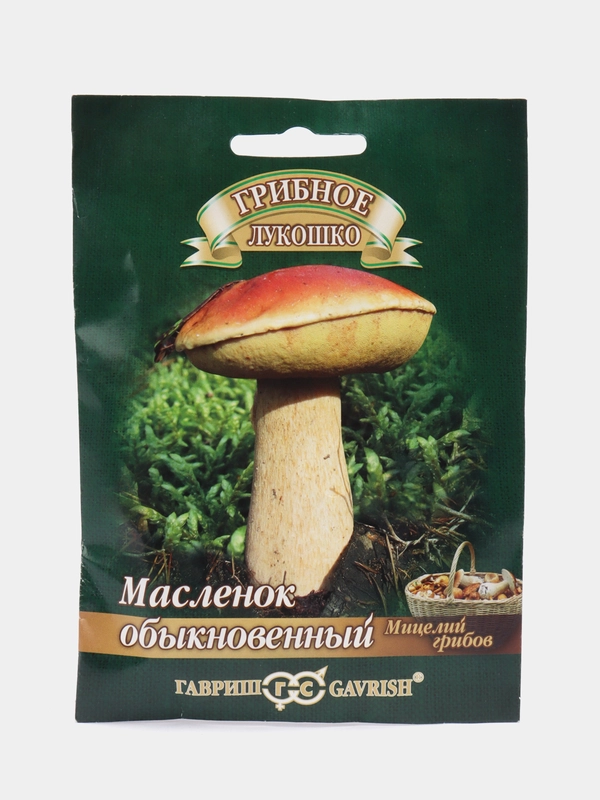 Масленок на зерновом субстрате, 15 мл