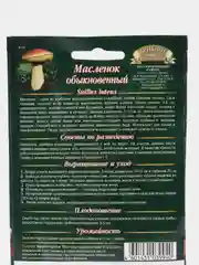 Масленок на зерновом субстрате, 15 мл