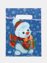 Марсала пакет новогодний,5 шт ,20*30