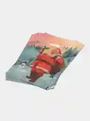 Молочный пакет новогодний,5 шт ,20*30