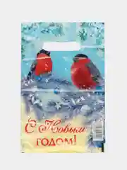 Морской пакет новогодний,5 шт ,20*30