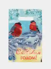 Мятный пакет новогодний,5 шт ,20*30